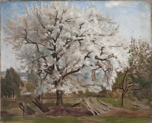 Virágzó almafa, 1877