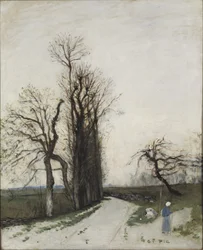 1876-77 ősz