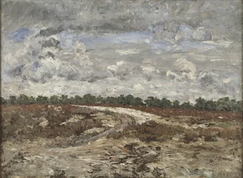 Vad táj Fontainebleau erdejében
