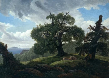 Tölgyfák a tenger mellett. 1835