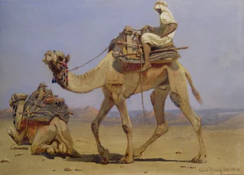 Lefekvésre készülő teve, 1858