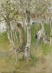 Meztelen fiú nyírfák között, 1898
