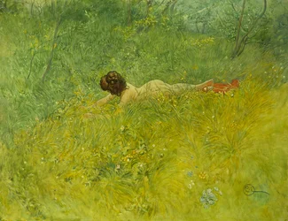 A fűben, 1902