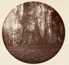 Birodalmi állam. C. Grove, kb. 1878.