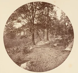 A Yosemite-völgyben kb. 1878.