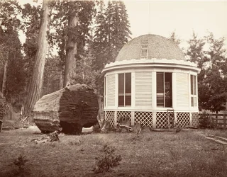 A nagy fa tuskója fölé épült ház, 1865-66, nyomtatott kb. 1876.