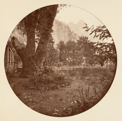 [Yosemite Nemzeti Park, Kalifornia], 1878 körül.