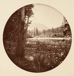 [Yosemite Nemzeti Park, Kalifornia], 1878 körül.