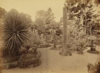 [Monterey, Kalifornia. Arizona Garden, Hotel Del Monte].