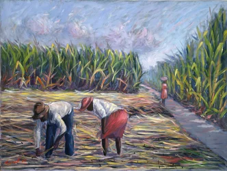 Cukornádszüret, 1986