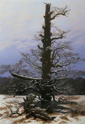 Tölgyfa a hóban. 1829