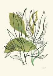 Modern botanikai levelek