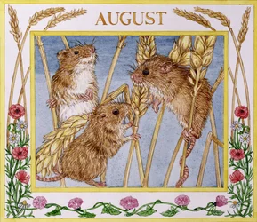 augusztus (wc papíron)