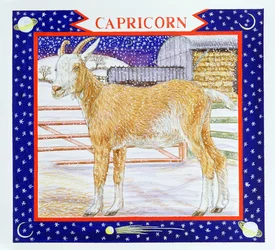 Bak (wc papíron)