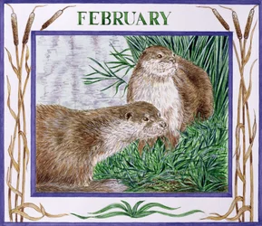 február (wc papíron)