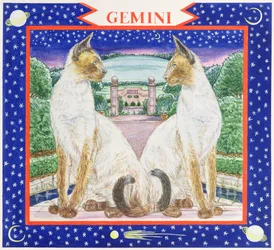 Gemini (wc papíron)