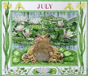 július (wc papíron)