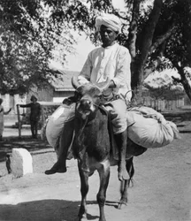 A mosoda, India, 19. század vége vagy 20. század eleje.