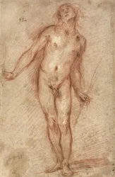 Álló férfi akt, 1637-38