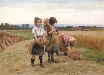 A fiatal aratók