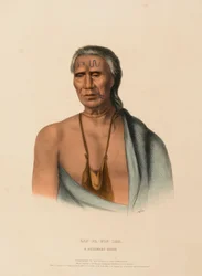 LAP-PA-WIN-SOE. A DELAWARE CHIEF., az Észak-Amerika indián törzseinek történetéből