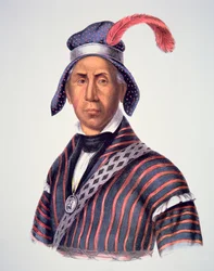 „Mad Wolf” 1825 (színes litó)