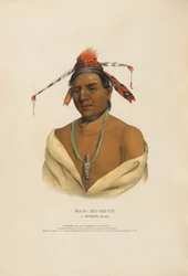 Mar-ko-me-te - Egy menominee harcos