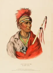 NOT-CHI-MI-NE. AN IOWAY CHIEF., az Észak-Amerika indián törzseinek történetéből
