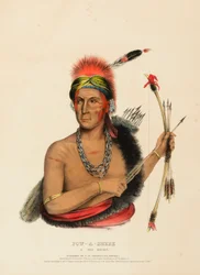 POW-A-SHEEK. A FOX CHIEF.