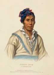 TAVASZI BÉKÁK. A CHEROKEE CHIEF, az Észak-Amerika indián törzseinek története című könyvből.