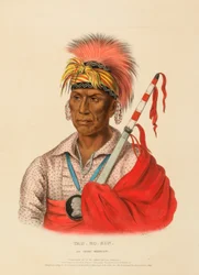 TEH-RO-HON, EGY IOWAY HARCOS, az Észak-Amerika indián törzseinek története című könyvből.