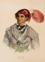 Tah-Chee (holland), egy cseroki törzsfőnök, az Észak-Amerika indián törzseinek története című könyvből.