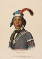 YAHA-HAJO. A SEMINOLE CHIEF., az Észak-Amerika indián törzseinek története című könyvből.