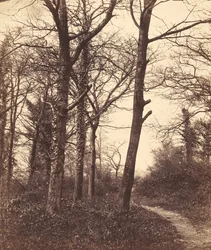 tél, 1855.