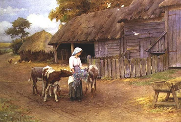 Jó Társak
