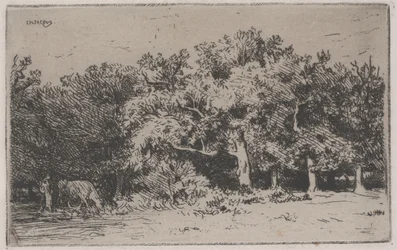 A fontainebleau-i erdő sarka (rézkarc)