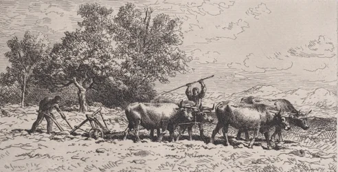 Ökörcsapat, 1868.