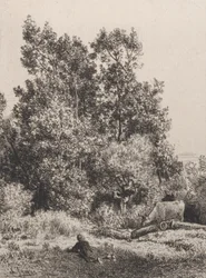Táj, 1864.
