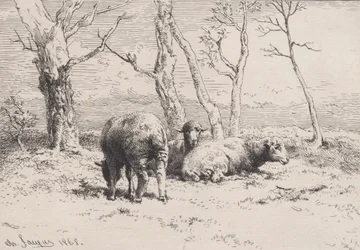Juh, 1868.