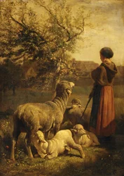 tavasz.