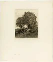 A maradék