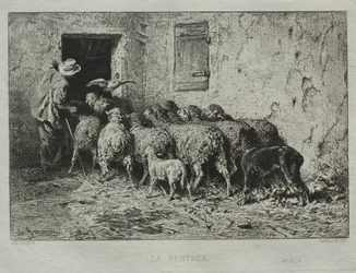 A visszatérés.
