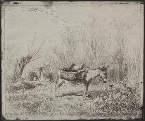 Szamár a mezőn, eredeti lenyomat 1862, nyomtatva 1921-ben.