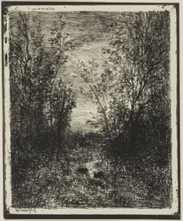 Brook a tisztáson