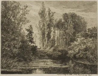 Szarvasok a vízparton