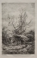 A Gyümölcsöskert