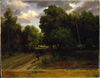 A Sasfészek kereszteződése, Fontainebleau-i erdő