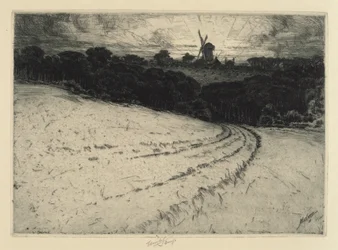 Reggel, Canonicut-sziget, 1908.