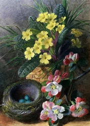 Almavirágok és primrózák. Csendélet fészekkel és virágokkal. Charles Henry Slater (1820-1890) festménye Magántulajdon.
