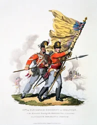 A 9. vagy East Norfolk-i gyalogezred egyenruhája és színei, az 1813-ban kiadott "Costume of the British Empire, according to the Last Regulations" (kézzel színezett akvatinta) című kiadványból